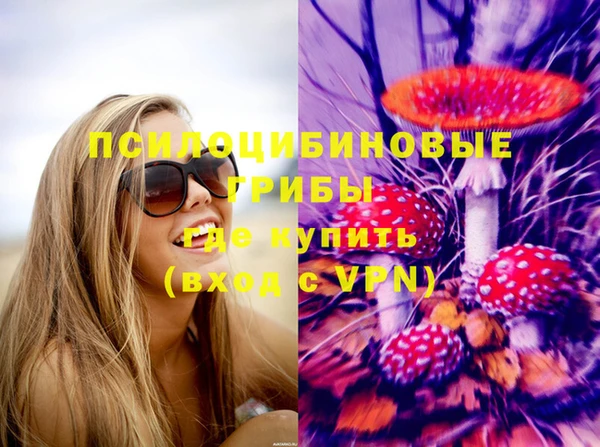 амф Абаза