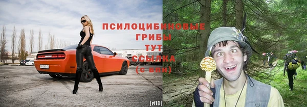 тгк Абдулино