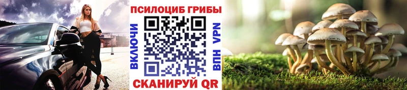 МЕГА ссылка Мурино Галлюциногенные грибы Cubensis