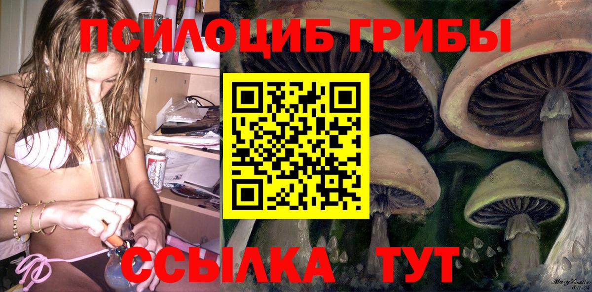 Галлюциногенные грибы Psilocybine cubensis Мурино