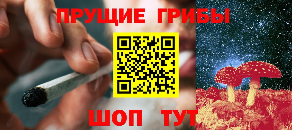 Мурино  Галлюциногенные грибы Psilocybe  Галлюциногенные грибы Cubensis  Вход с VPN 